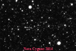 Nova Cygnus 2014